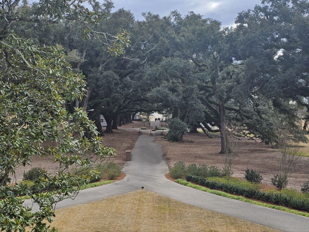 The view from the back of the second floor terrace at the main house in Oak Alley Plantation