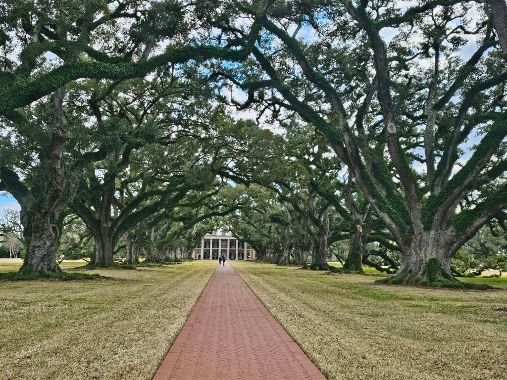 The view through the Oak tree Alley at Oak Alley Plantation.