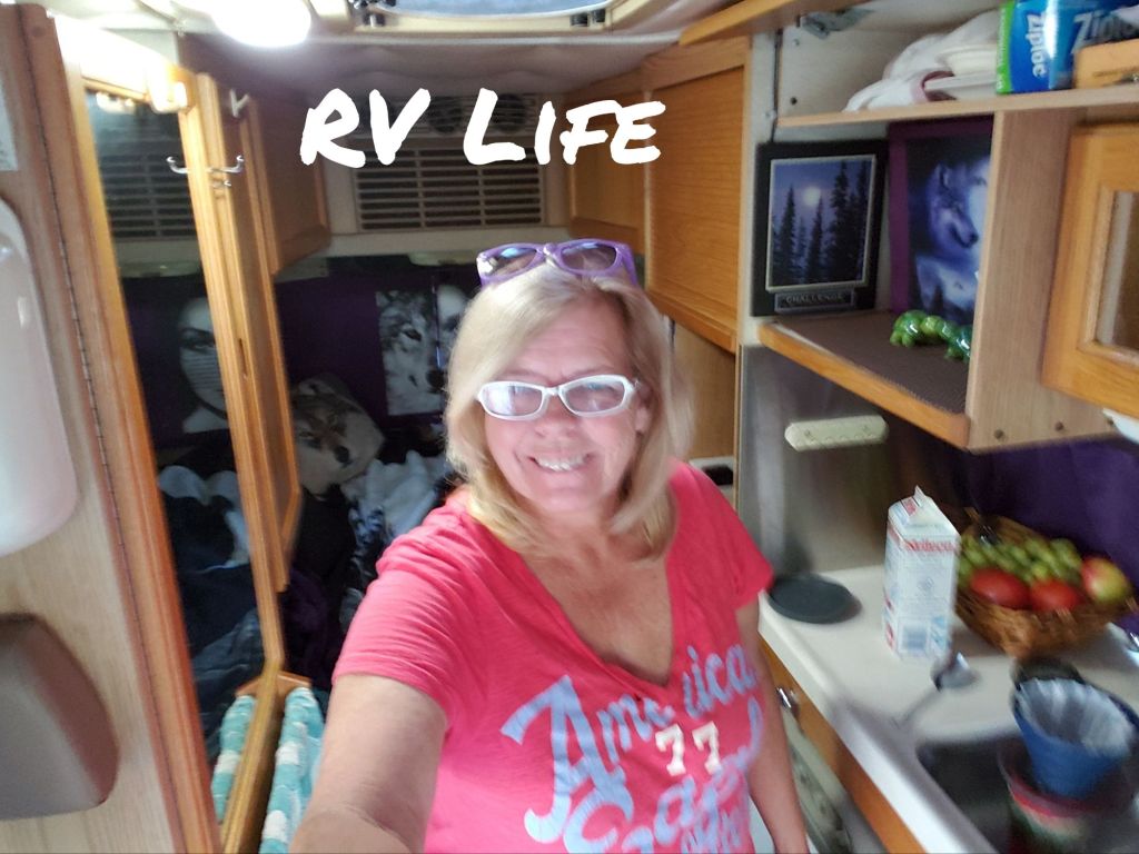 Myself inside my campervan living an RV life