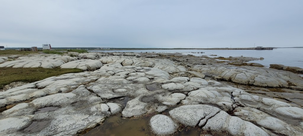 Thrombolites in Northern Newfoundland
