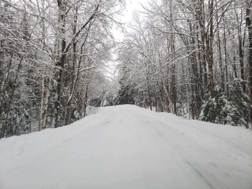 Snow covered roadway in Silent Lake Provincial Park