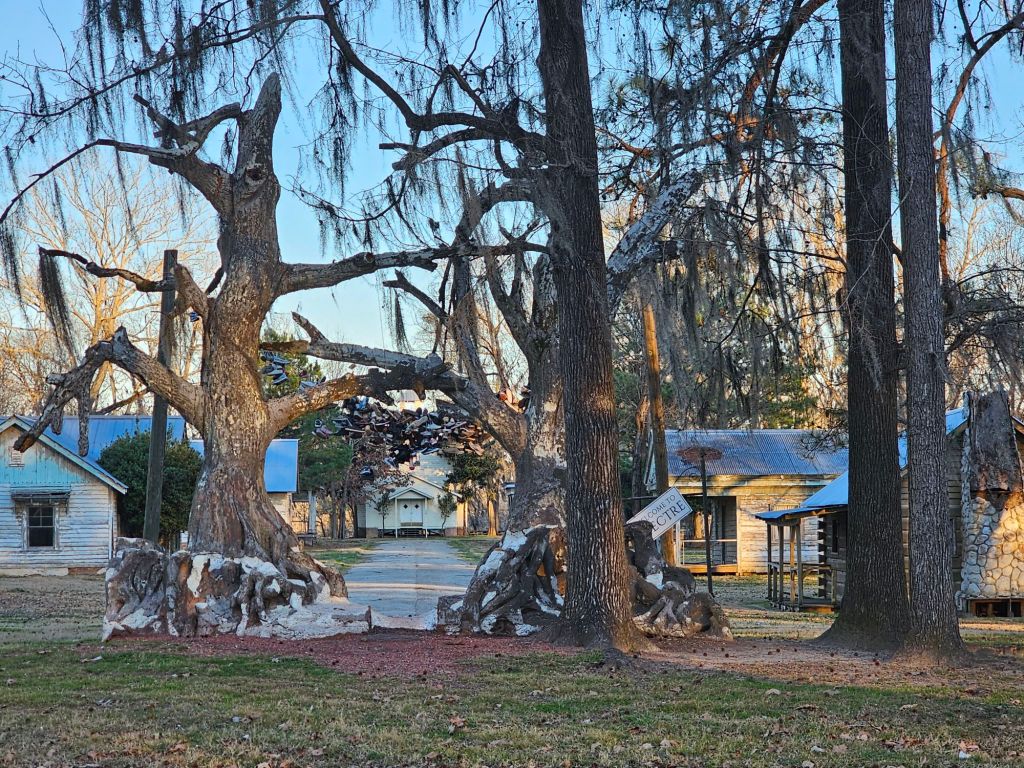 Looking through the trees of the dark forest into the town of Spectre