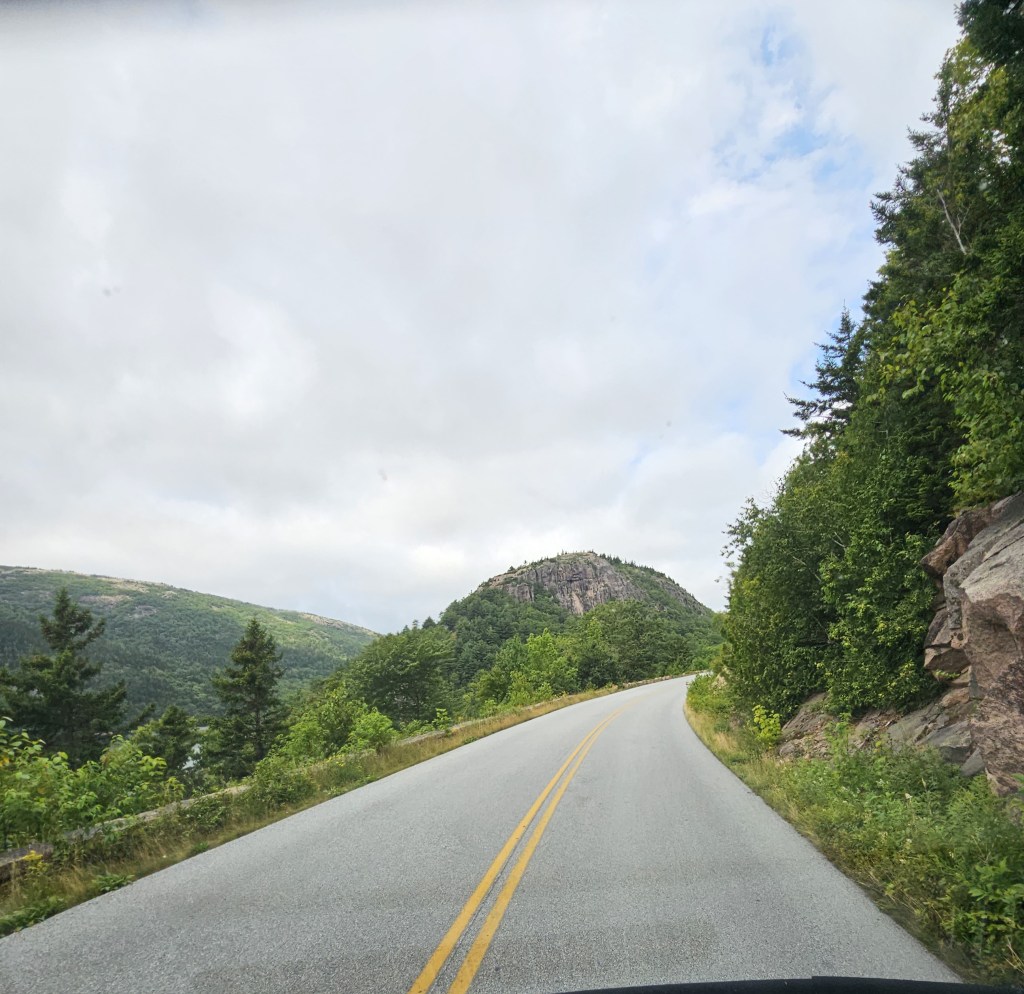 Driving on the Park Loop Rd
