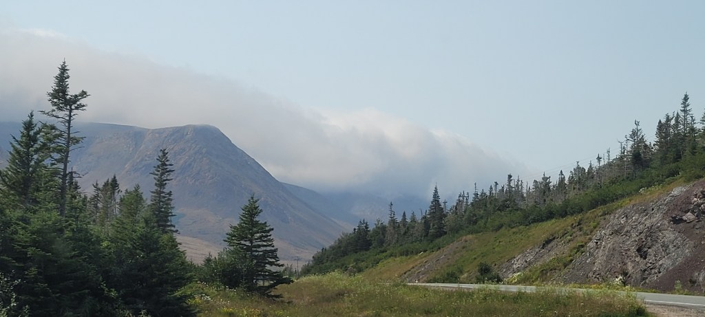 Travelling in Newfoundland. The difference in landscape at Gros Morne National Park