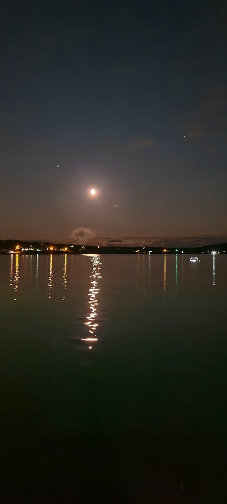 Dildo harbour at night